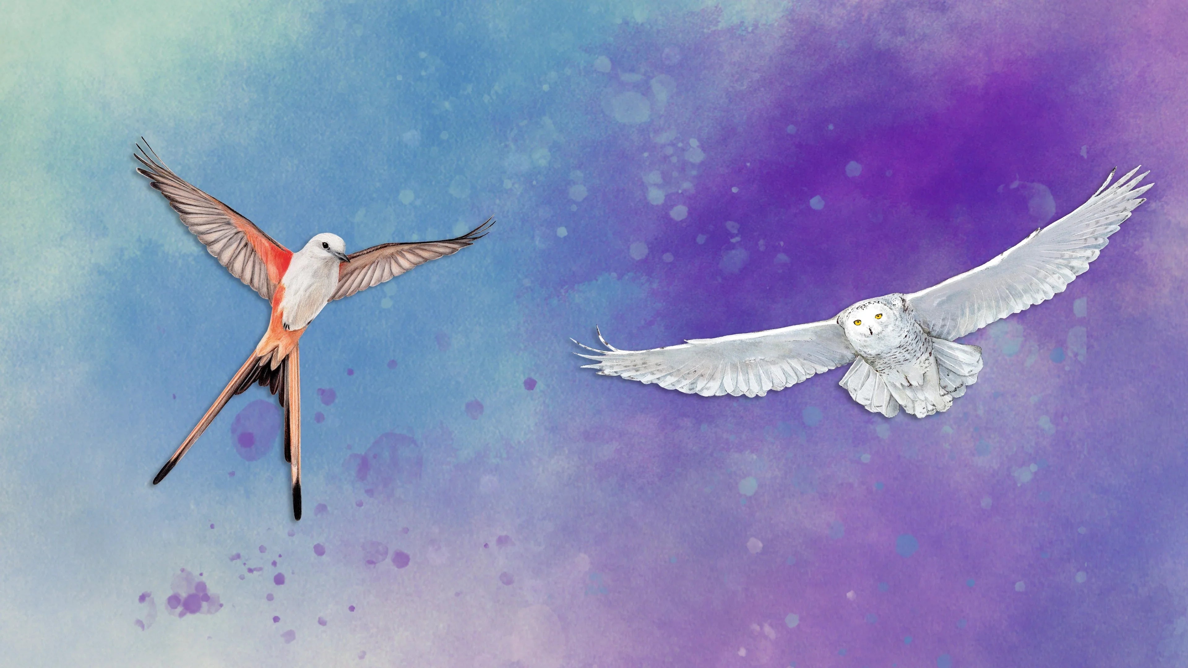 Wingspan - End State Games